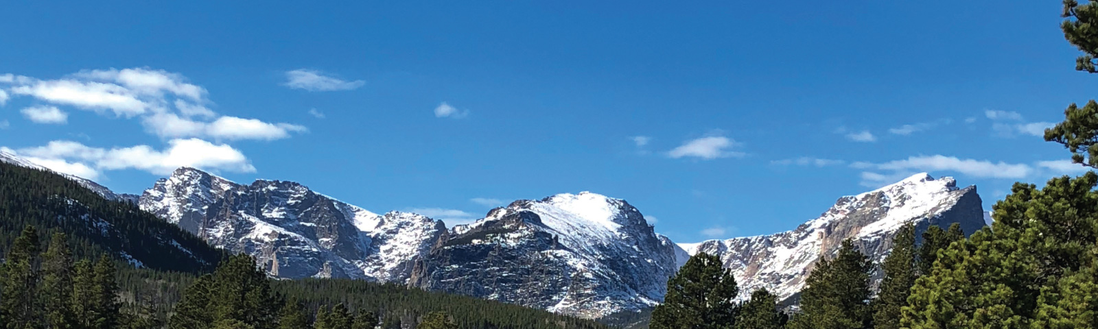 Snow-capped mountain range under a clear blue sky with scattered clouds, surrounded by a dense forest of pine trees in the foreground.