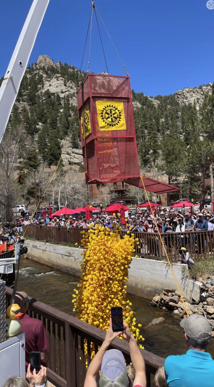 A large netted container releases numerous rubber ducks into a river during an outdoor event, with a crowd watching and taking photos.