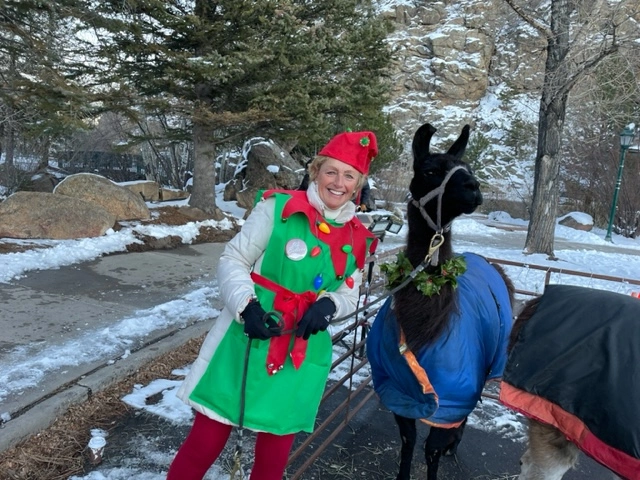 Person in a festive elf costume stands next to a llama wearing a blue blanket, with a snowy backdrop of trees and rocks.