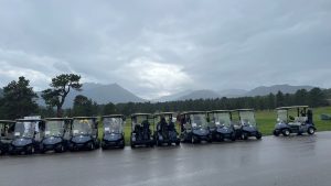 A row of golf carts parked on a wet paved area with a backdrop of cloudy mountains and tree-covered hills.