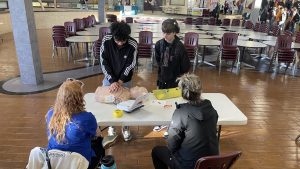 Four people gathered around a table practicing CPR on a dummy in a cafeteria setting.