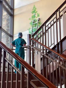 A person in green scrubs stands on a staircase near a wall with a painted tree and a ladder leaning against it, inside a building with large windows.
